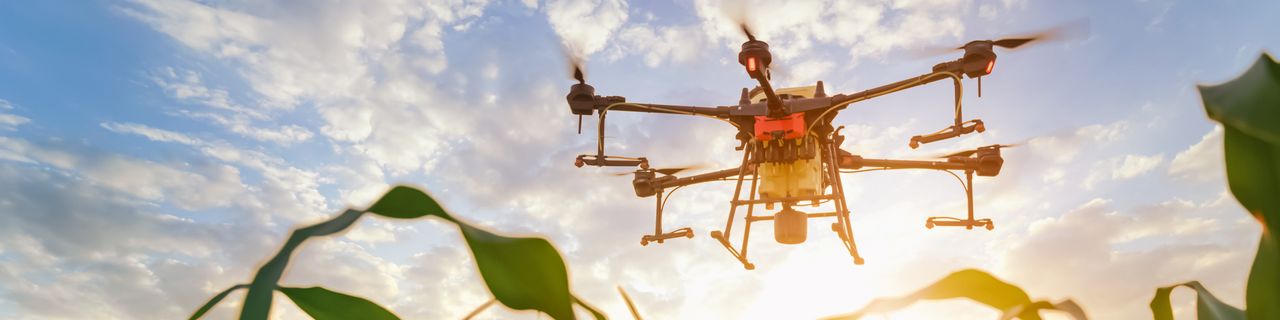 Investing for better - Ist KI der Schlüssel zu Nachhaltigkeit? Drohne über einem Feld.