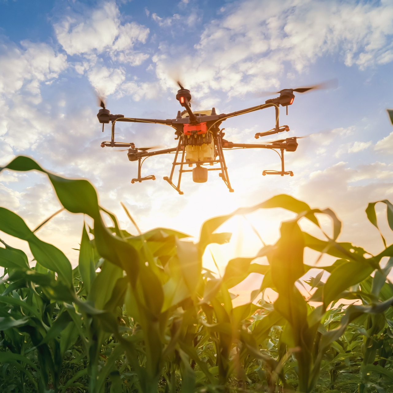 Investing for better - Ist KI der Schlüssel zu Nachhaltigkeit? Drohne über einem Feld.