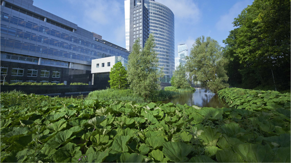 ABN AMRO office