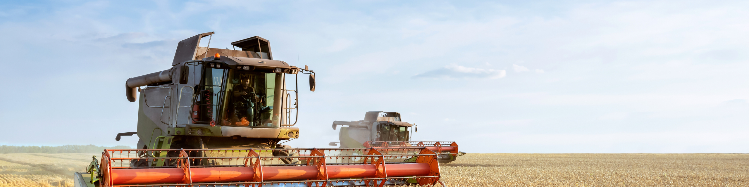 Bethmann HAL Active Investor: Mähdrescher erntet Getreide auf einem weitläufigen Feld unter blauem Himmel. Im Vordergrund sind geerntete und noch stehende Getreideflächen sichtbar, während ein weiteres Erntefahrzeug im Hintergrund arbeitet.